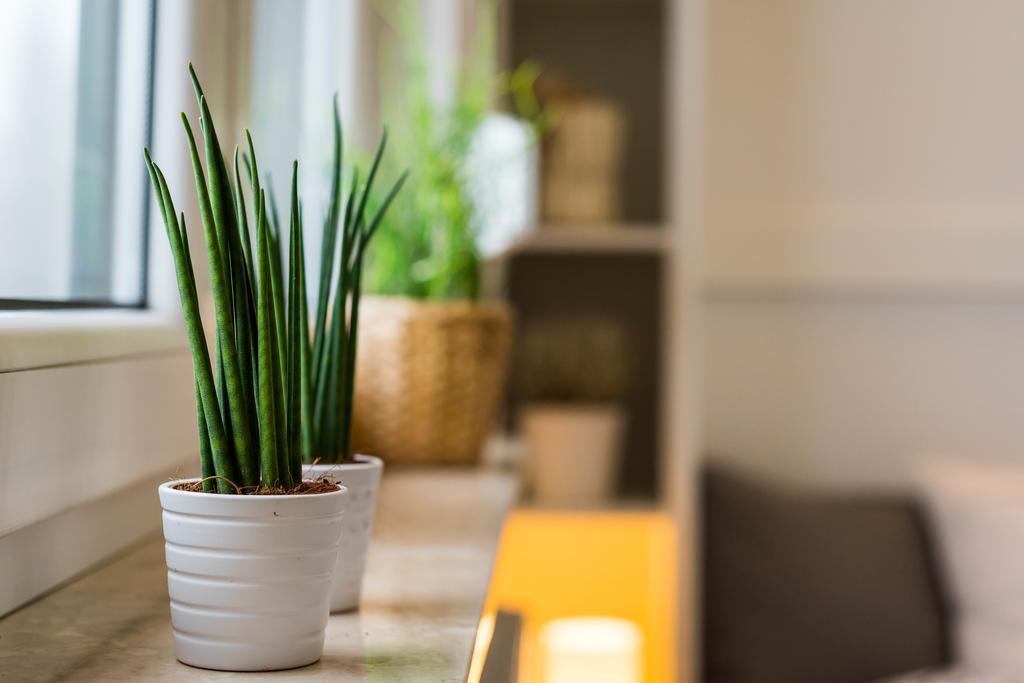 Apartamenty Tespis - Andersa Katowice Esterno foto